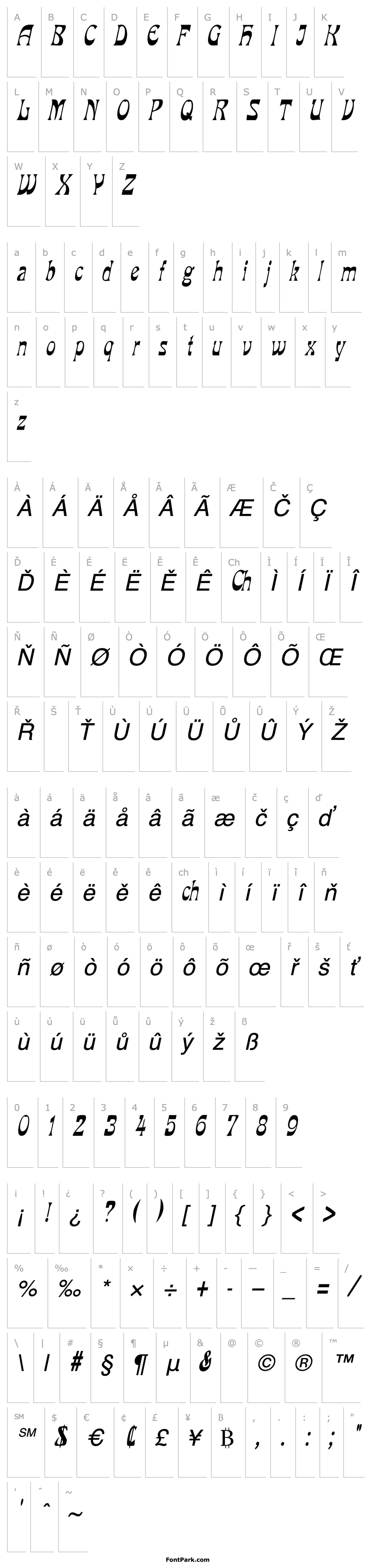 Overview VanVeenCondensed Italic