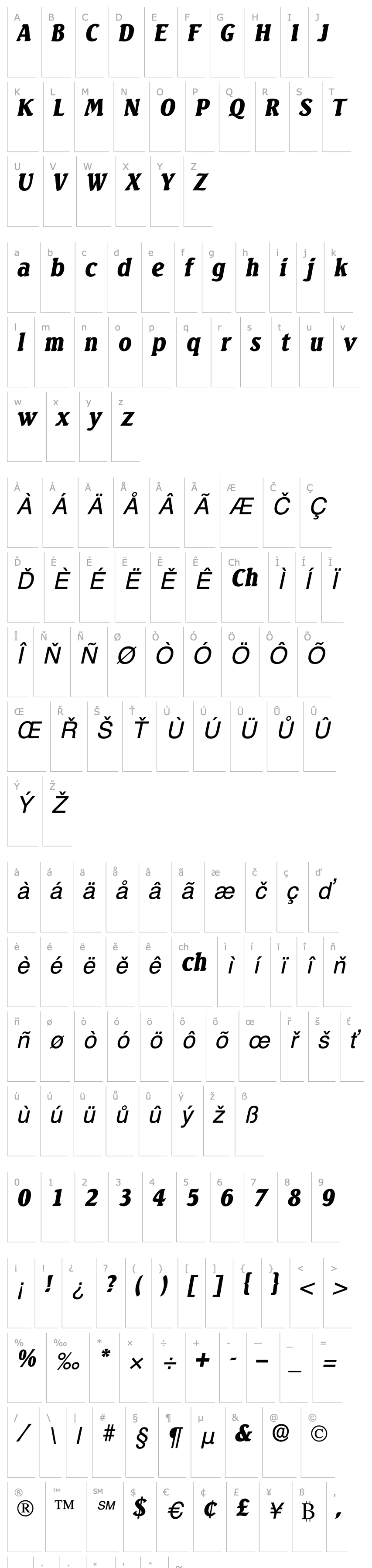 Přehled Vario Display SSi Italic