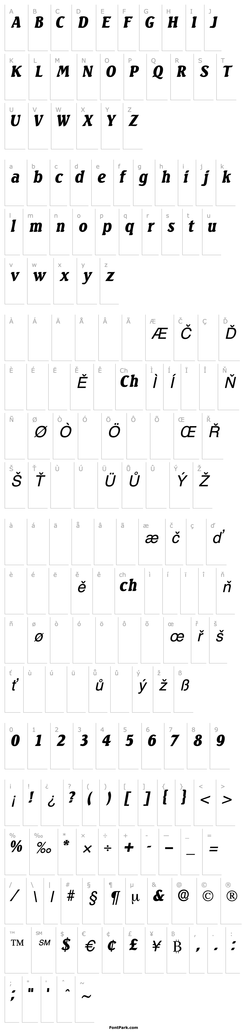 Přehled VarioDisplaySSK Italic