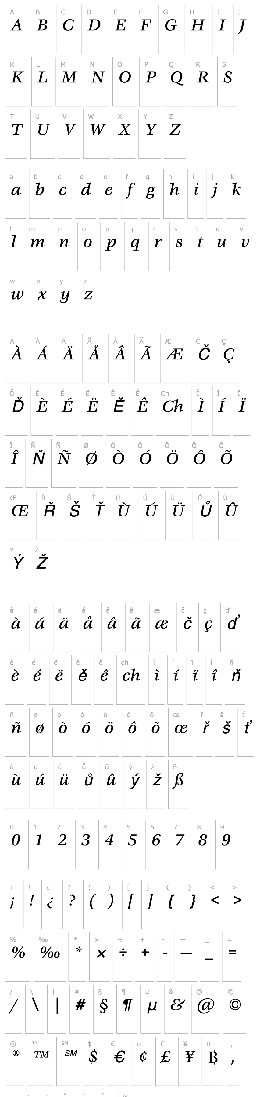 Přehled VeljovicEF-MediumItalic