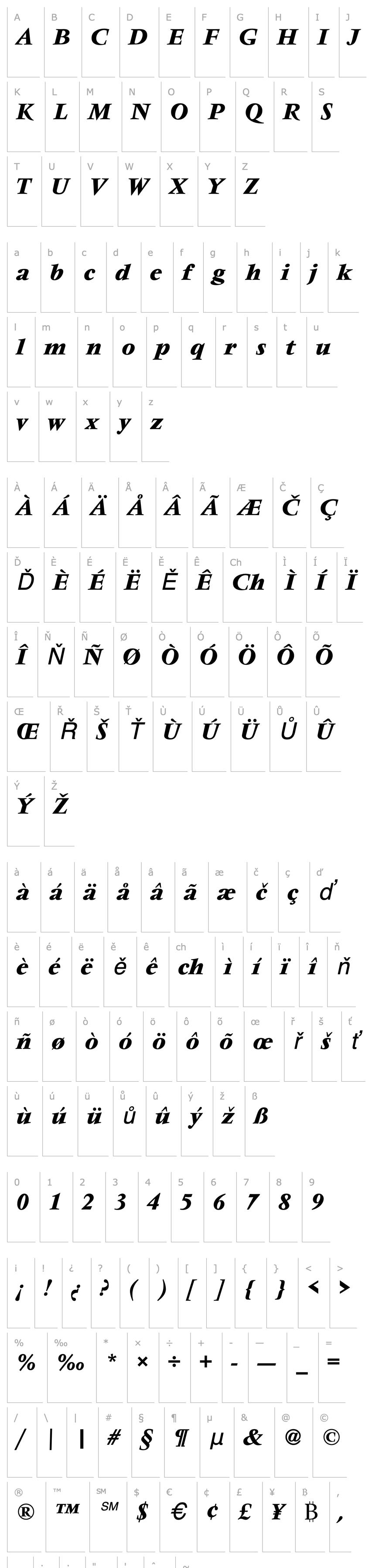 Přehled VendomeTMed Italic