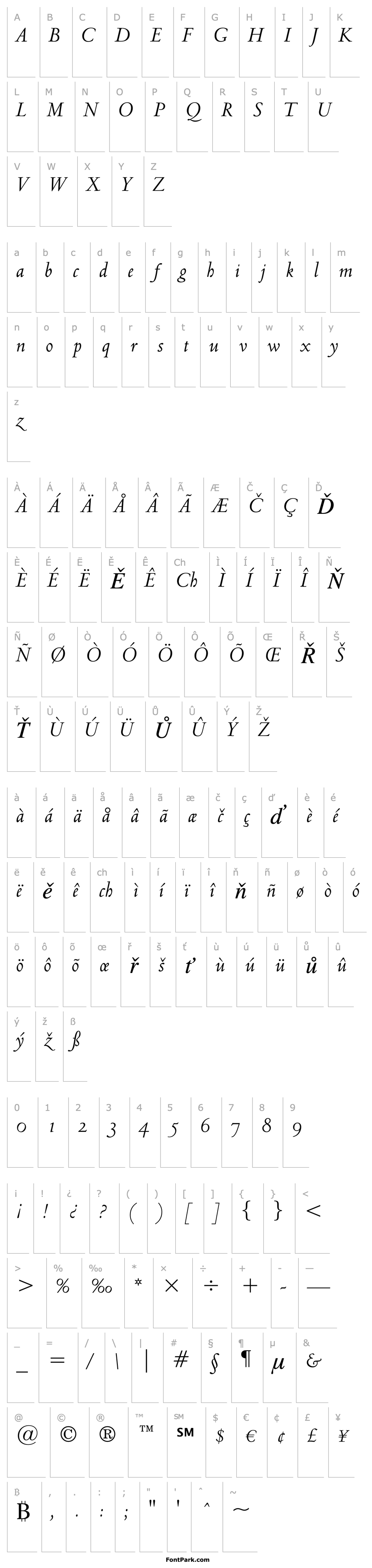 Přehled Venetian301 BT Italic