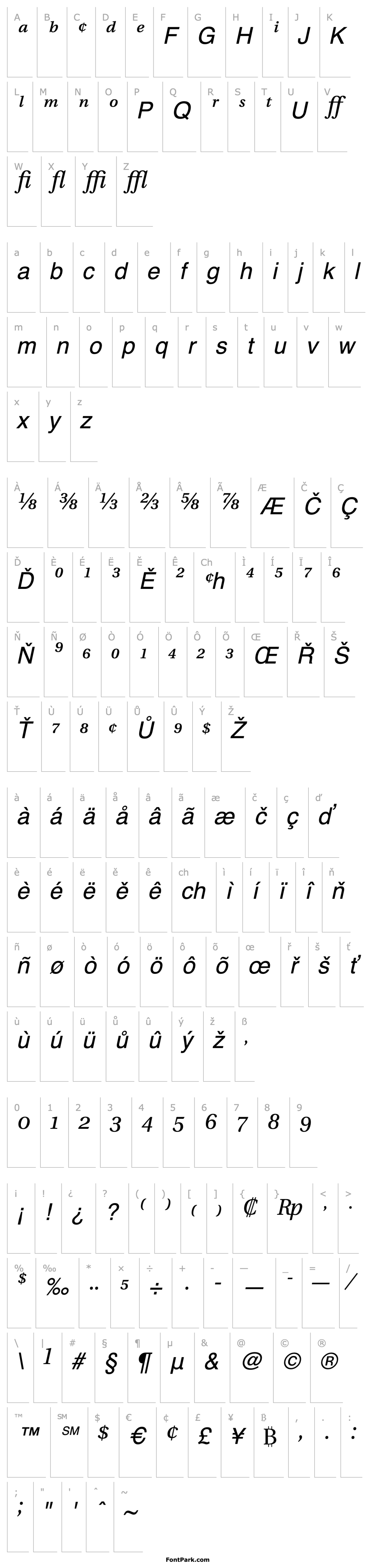 Overview Veracity Pro SSi Italic