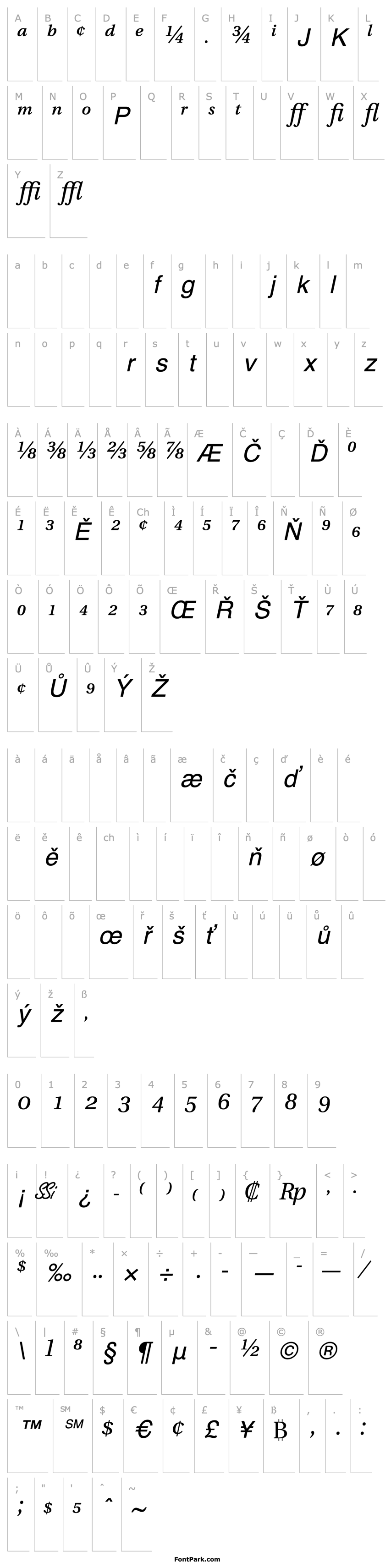 Přehled VeracityProSSK Italic