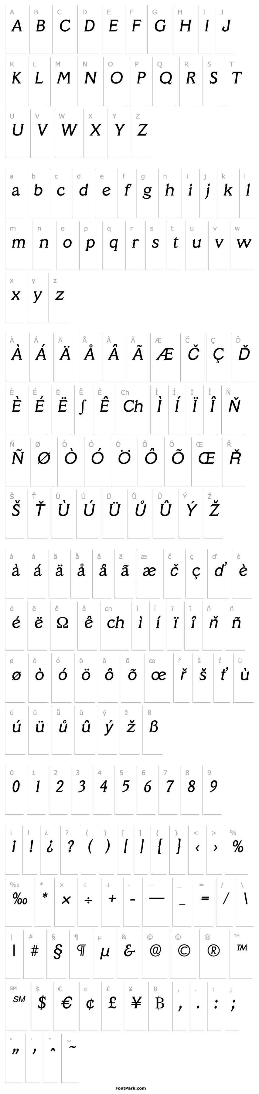 Overview Veracruz-Serial-RegularItalic DB