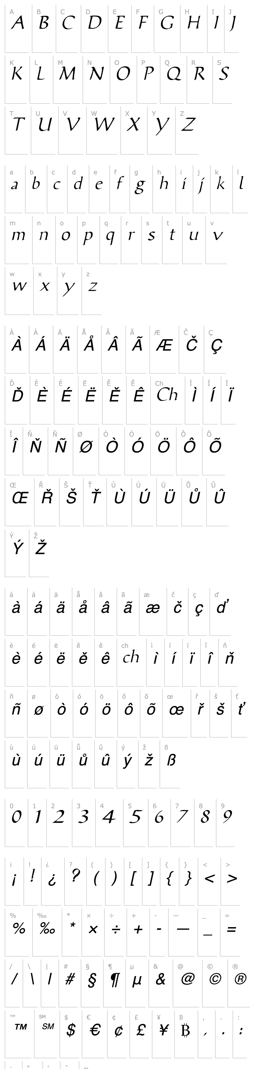 Overview ViciSSK Italic