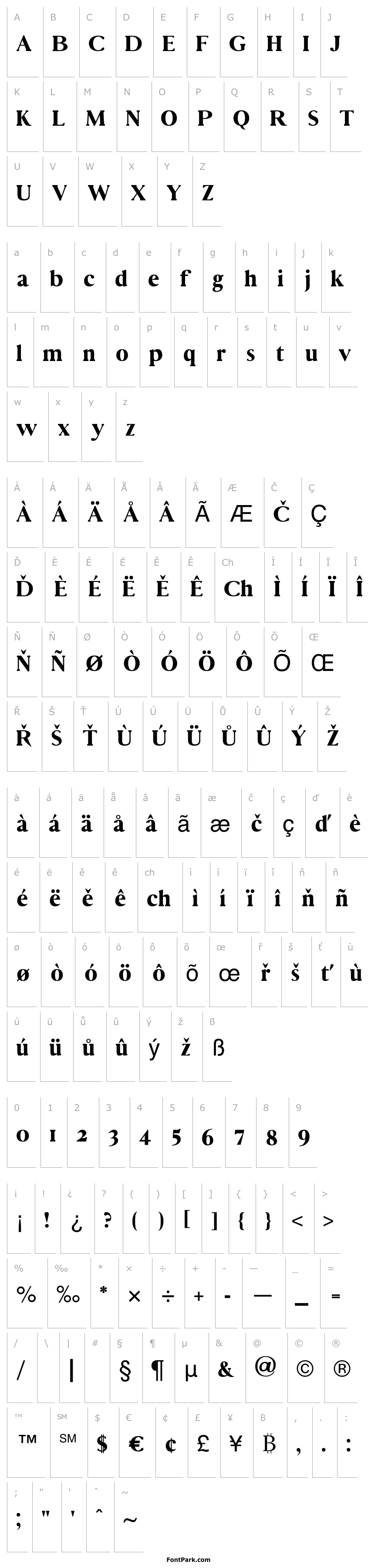 Overview Vincentio Regular