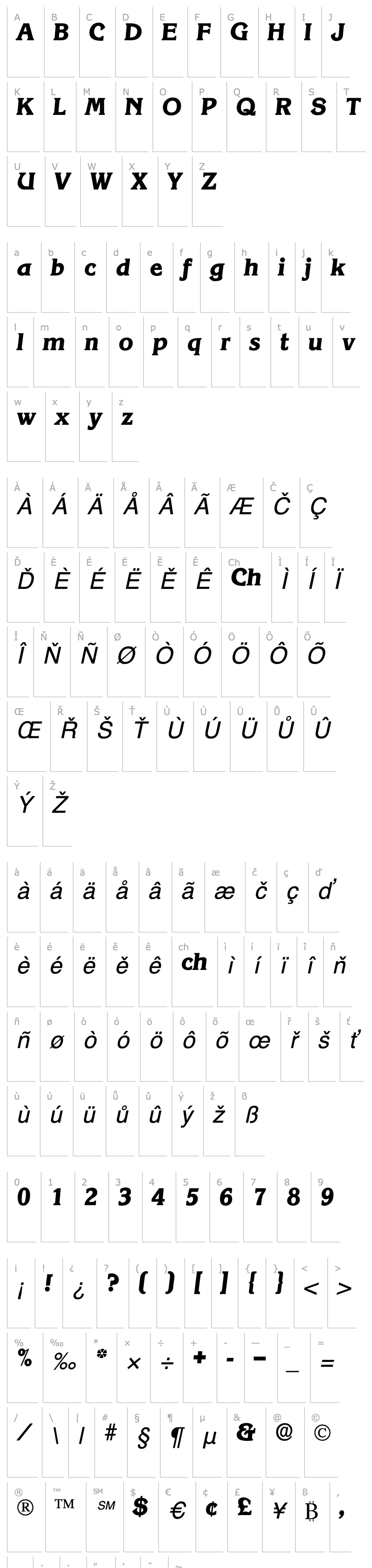 Overview Vitica Display SSi Italic