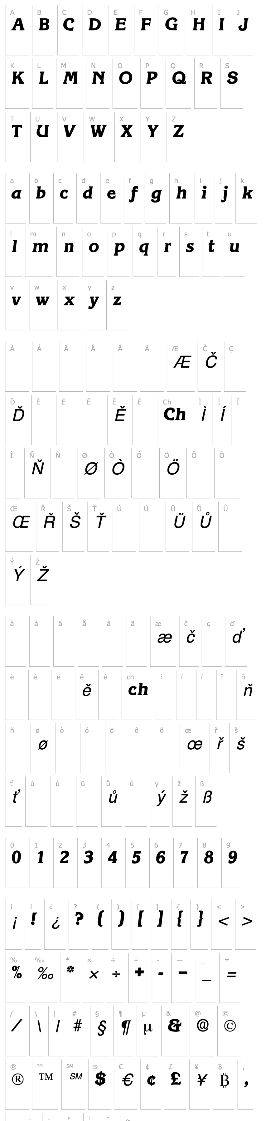 Přehled ViticaDisplaySSK Italic