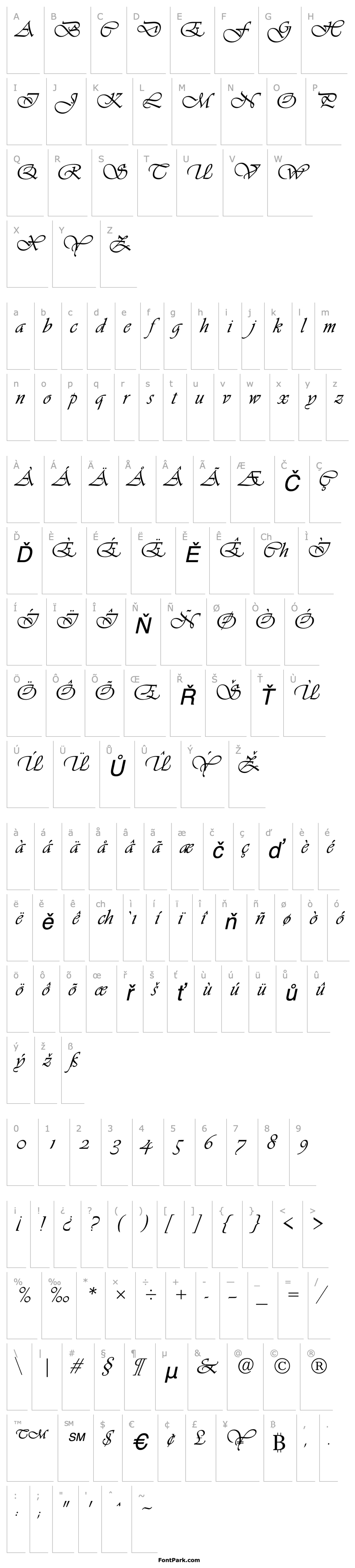 Přehled Vivante DTC ITALIC