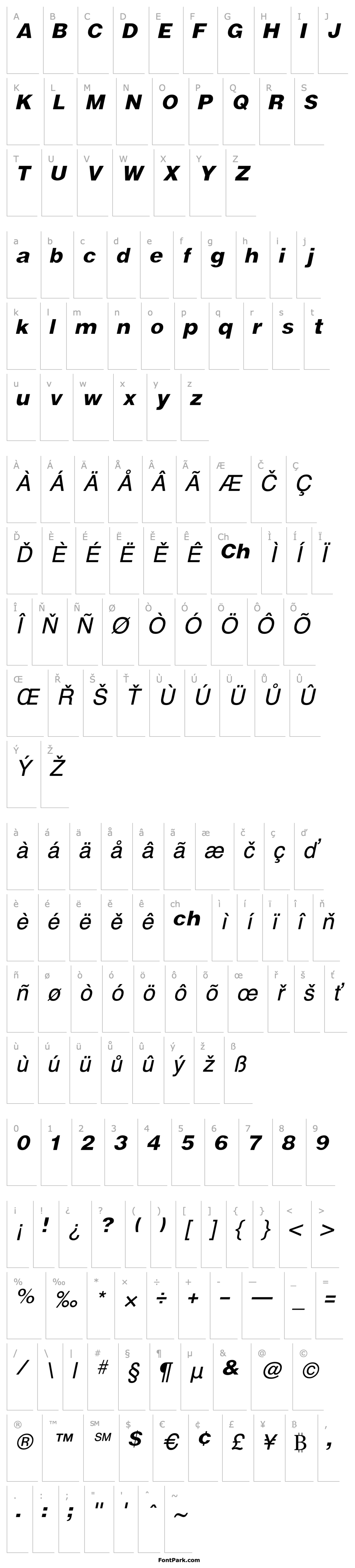 Přehled VivasSSK Italic