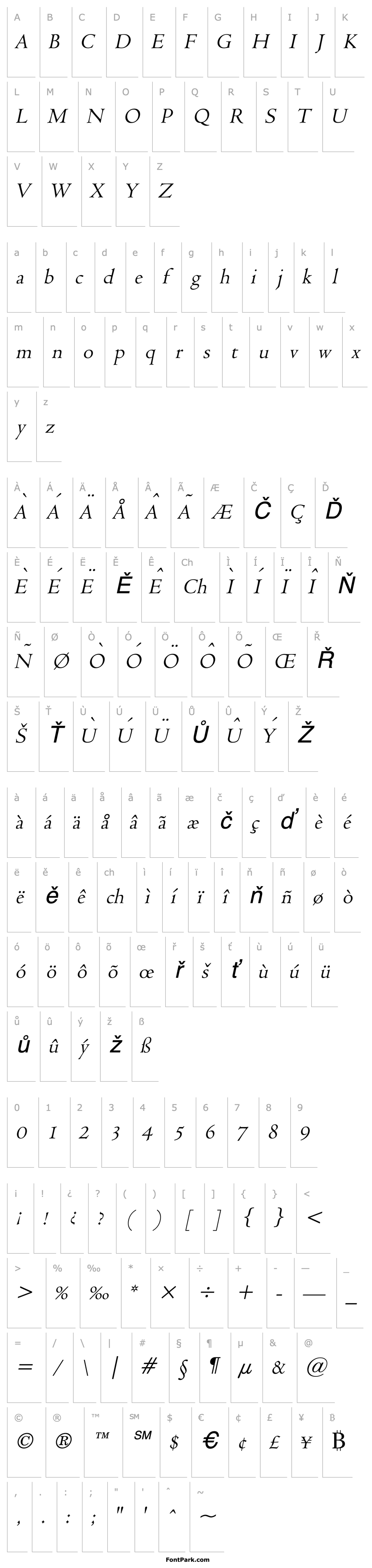 Přehled Viviene Italic