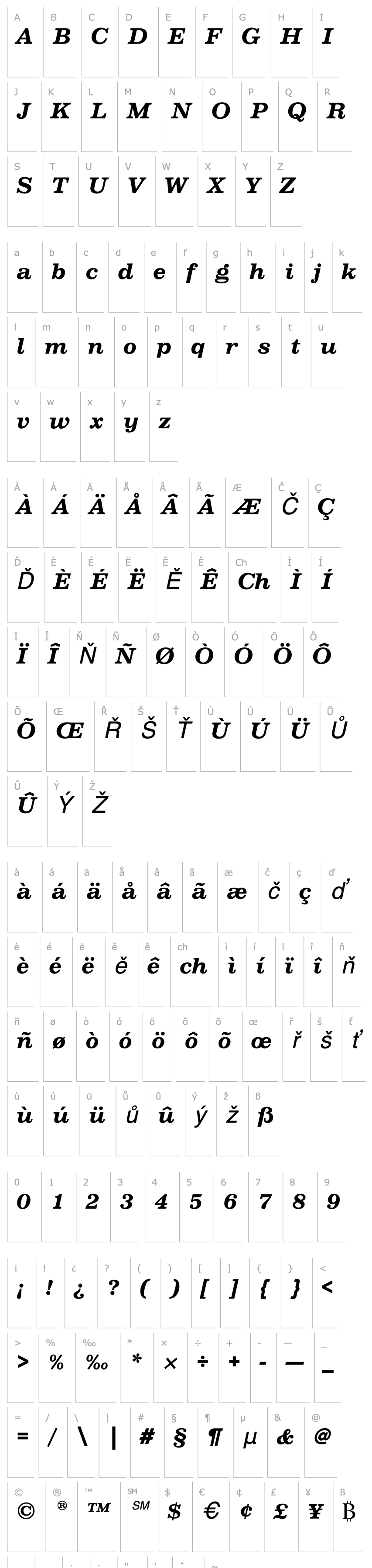 Přehled VoltaEF-MediumItalic