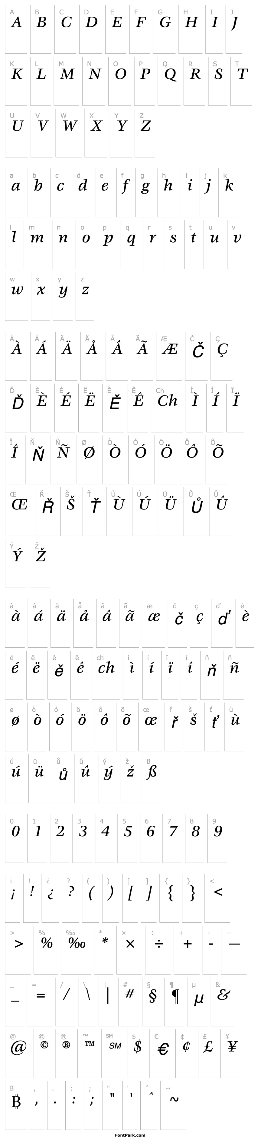 Přehled Vorace Medium SSi Medium Italic