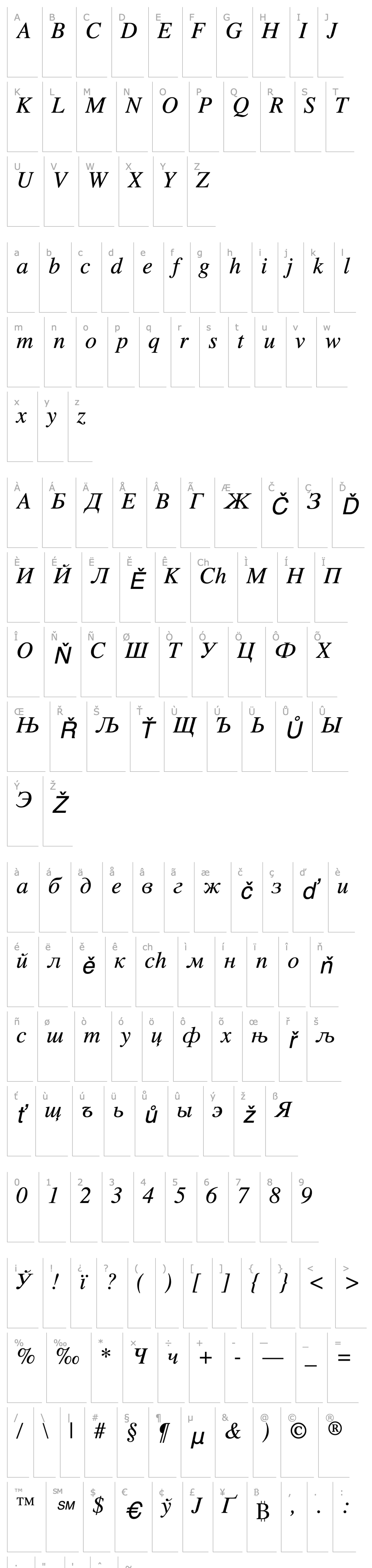 Overview Vremya Italic