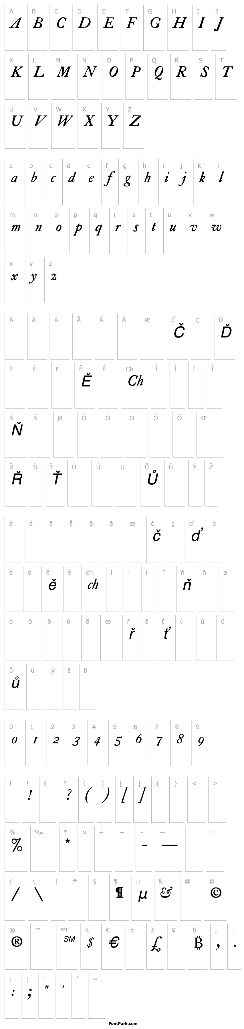 Přehled VTCualaCaslon-Italic