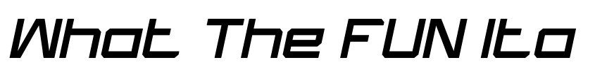 Preview What The FUN Italic
