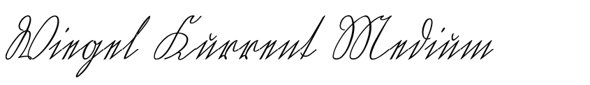 Font Wiegel Kurrent Medium by Peter Wiegel