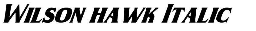Preview Wilson hawk Italic