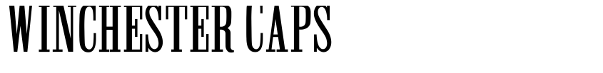 Preview Winchester Caps