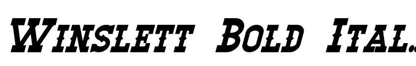 Preview Winslett Bold Italic