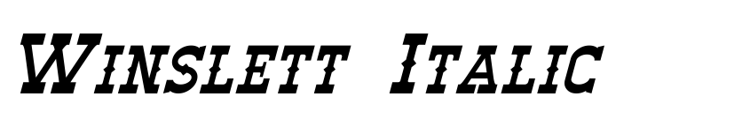 Preview Winslett Italic