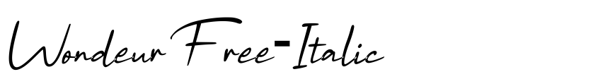Preview WondeurFree-Italic