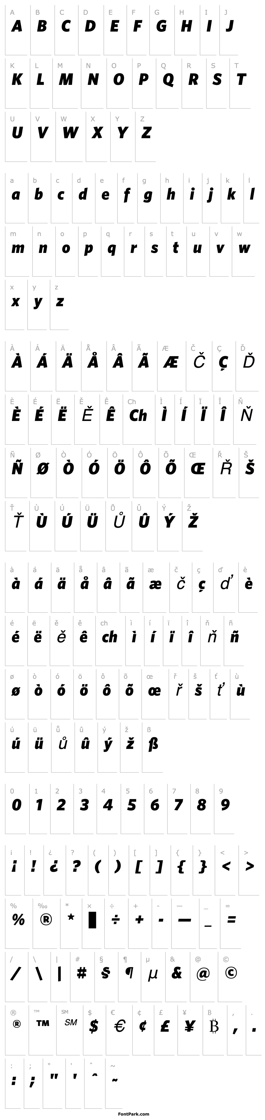 Přehled Whitney-BlackItalic