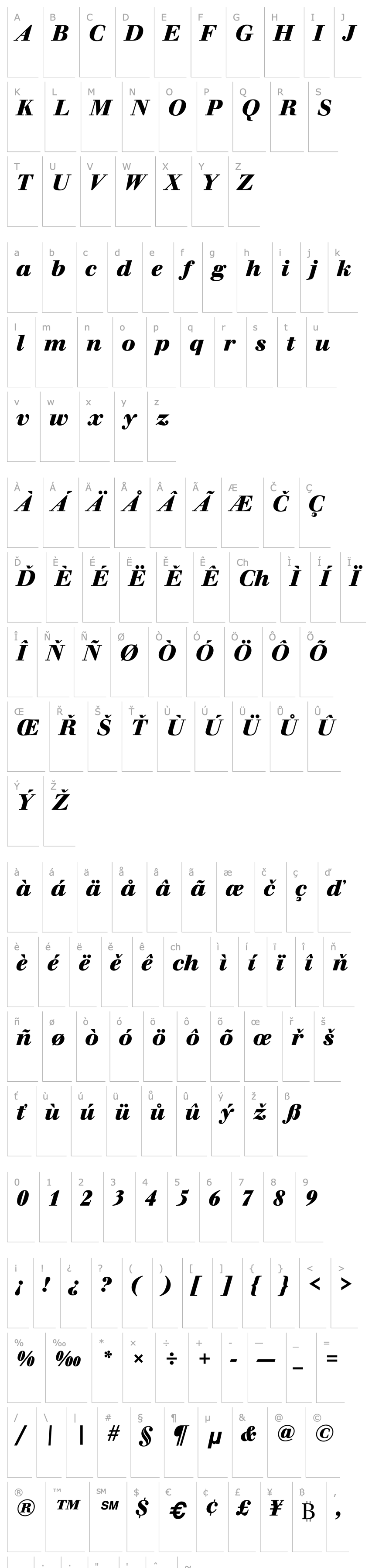 Overview WalbaumBucT Bold Italic