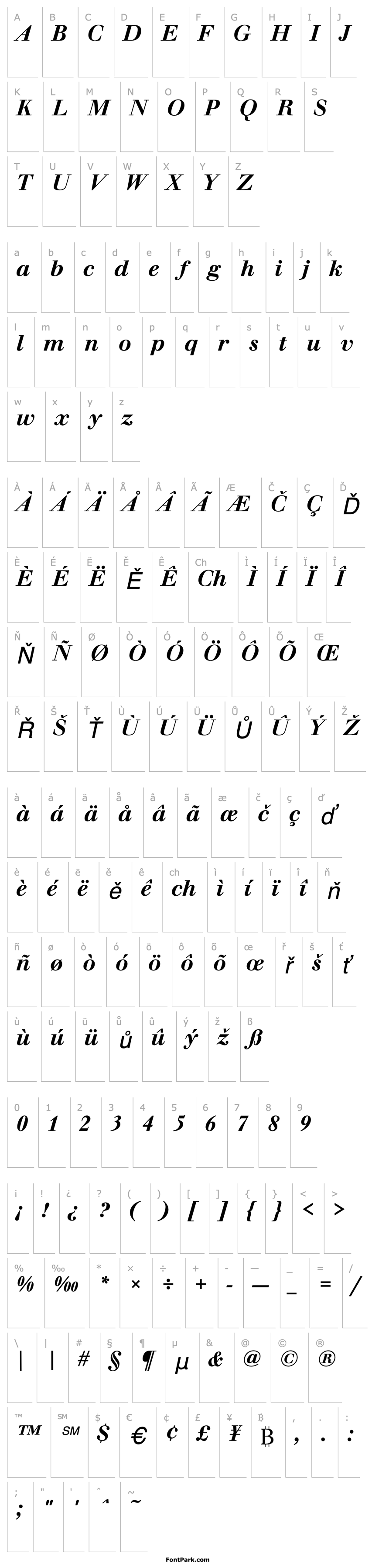 Overview WalbaumBucTMed Italic