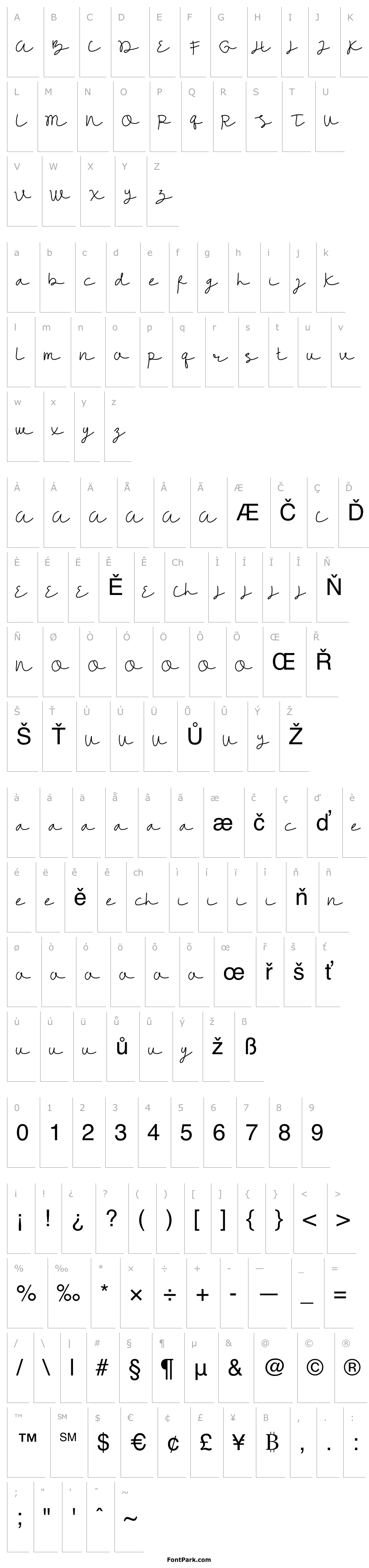 Overview WARINGTONS DEMO Script