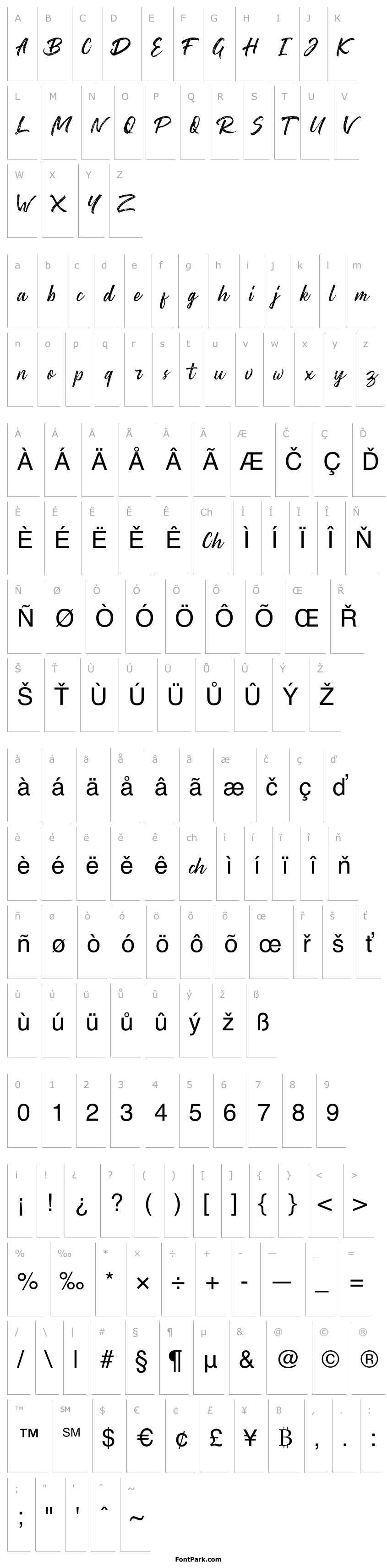 Přehled Washington ~ Rough Script DEMO Regular