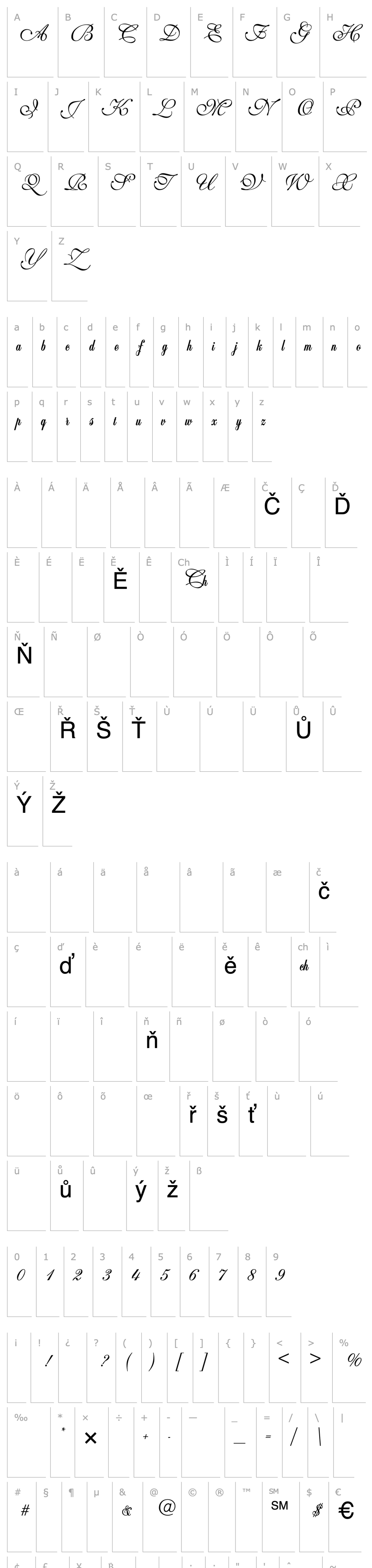 Overview WeddingScript Bail