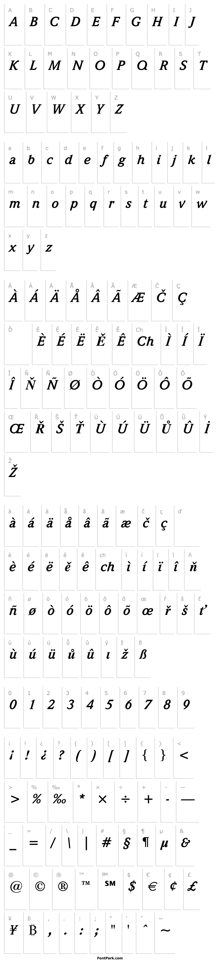 Přehled Weidemann Bold Italic BT