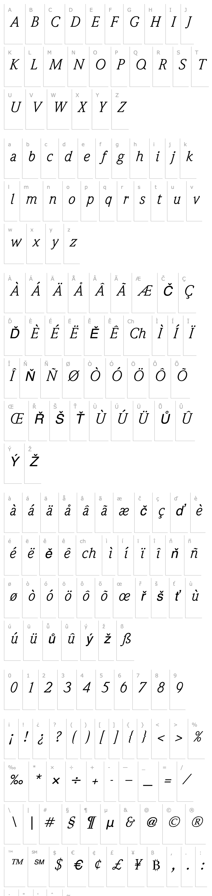 Přehled WeidemannBookItalic