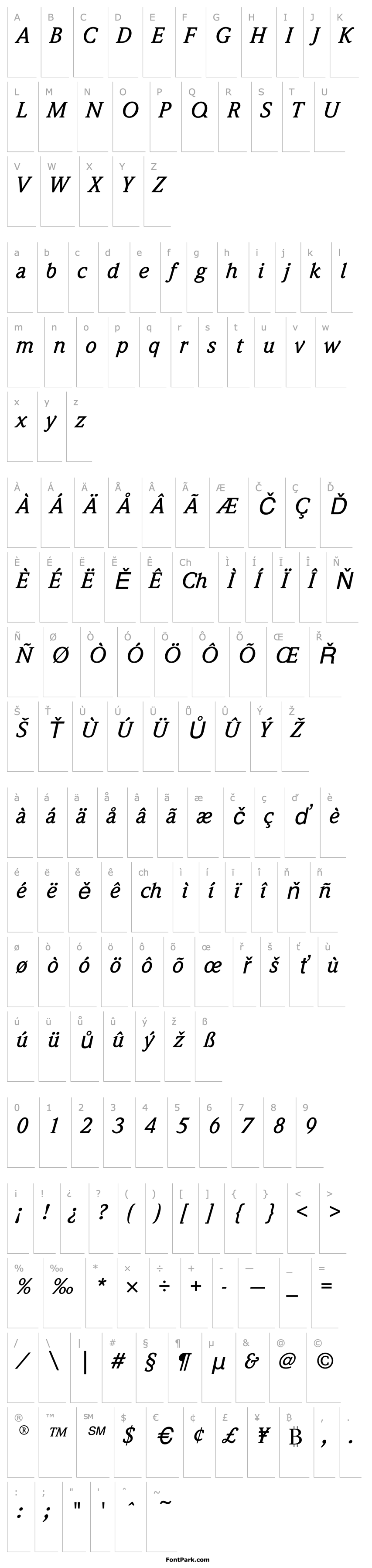 Přehled WeidemannEF-MediumItalic