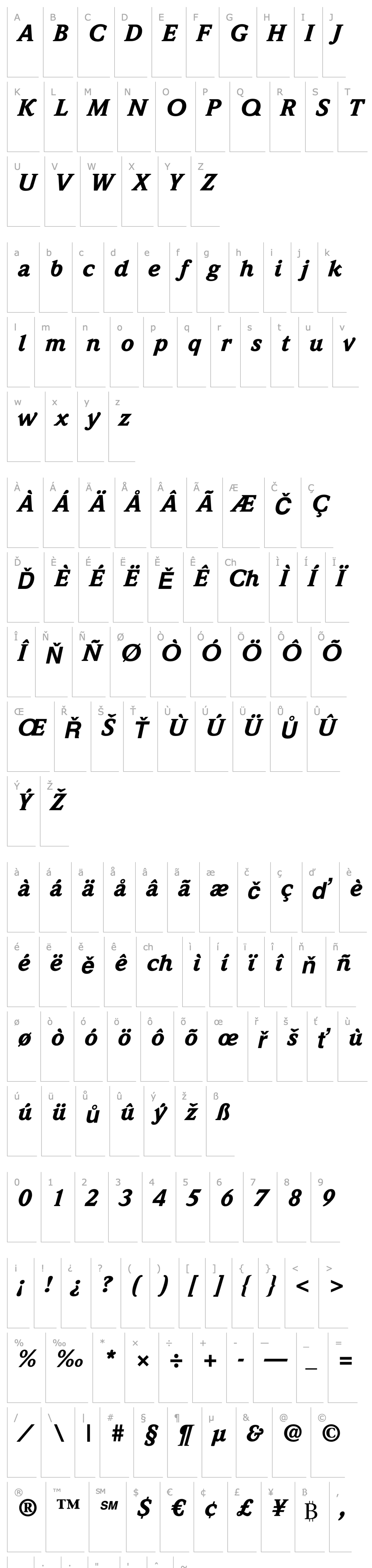 Overview WeidemannStd-BlackItalic