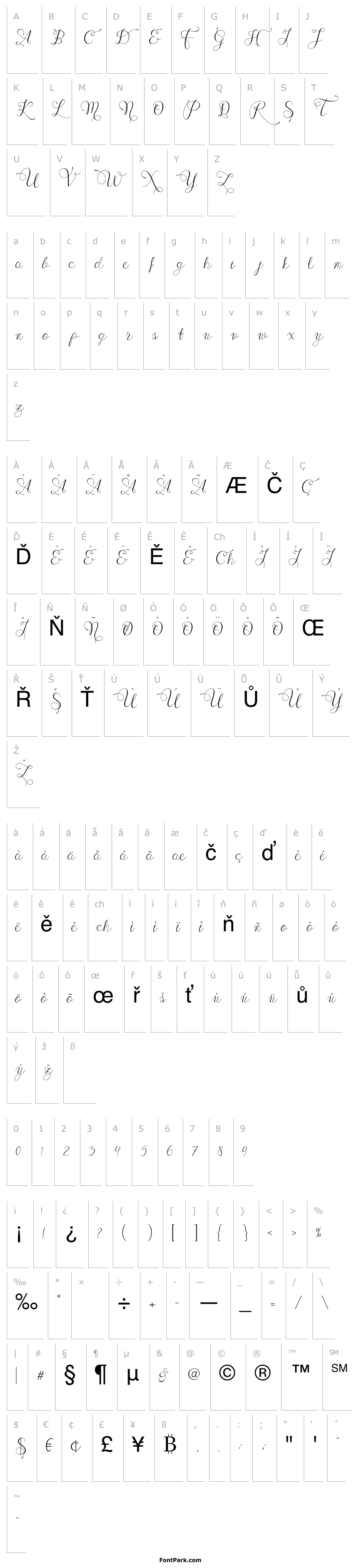 Overview Wennyscript