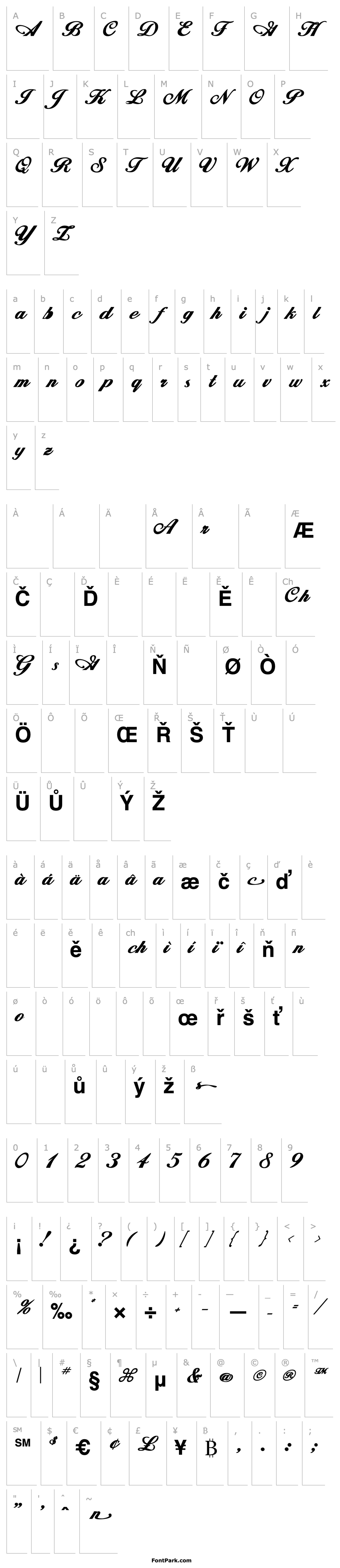 Přehled Whimsi Script SSK Bold