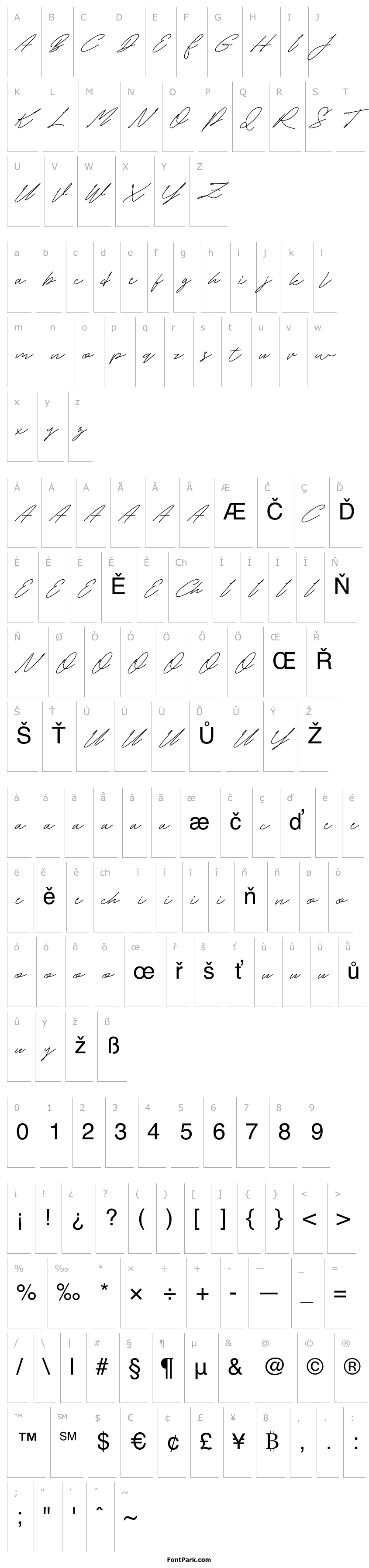 Overview White Honey Demo