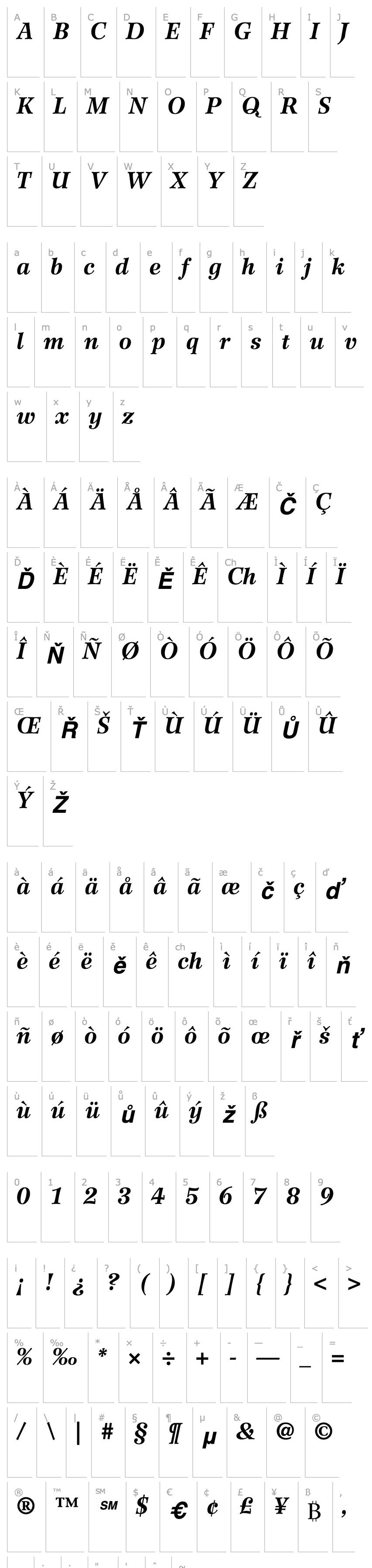 Overview Wilke76-Bold Italic