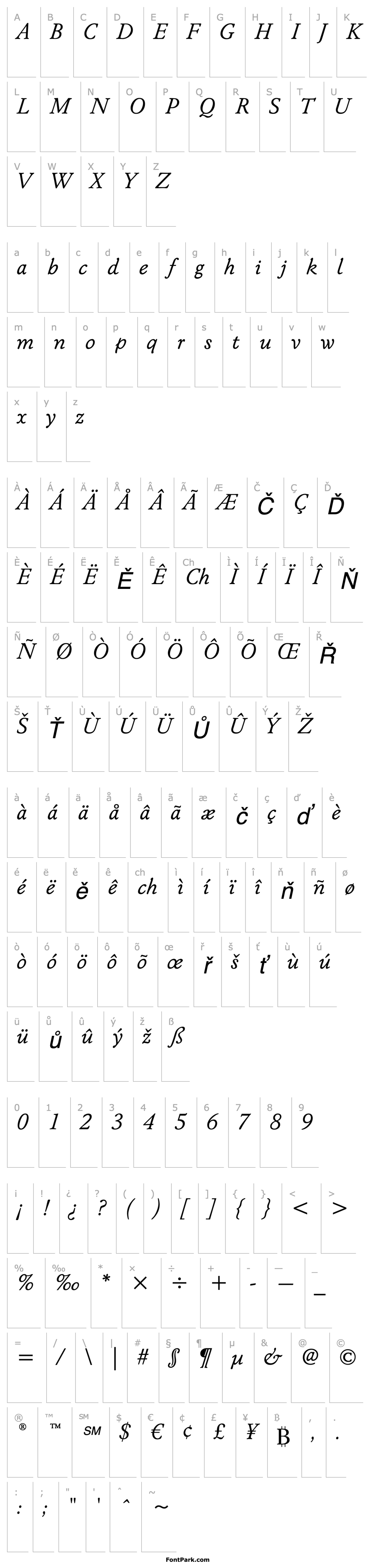 Přehled WinchesterNewITCStd-BookItalic