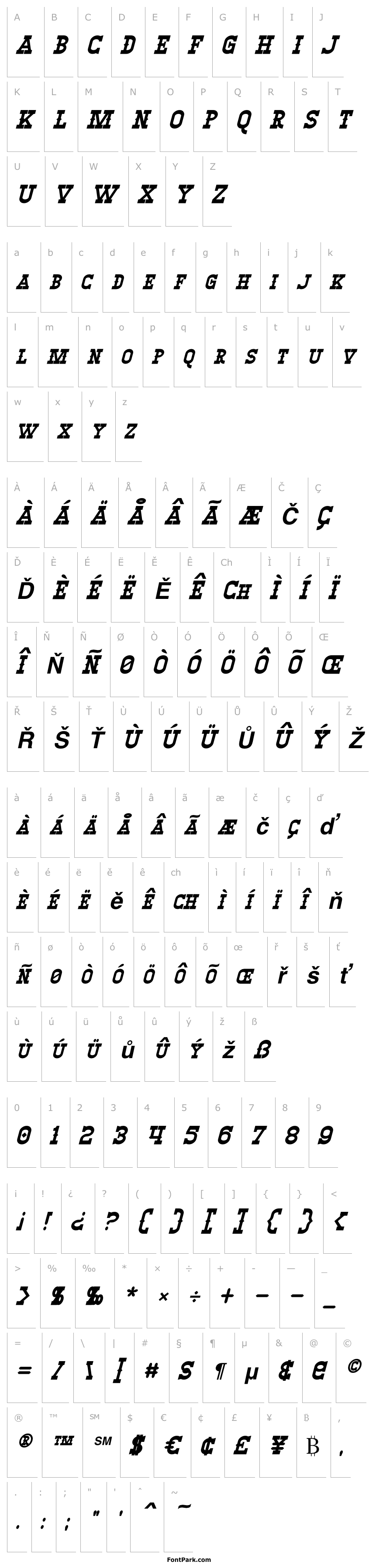 Přehled Winslett Bold Italic