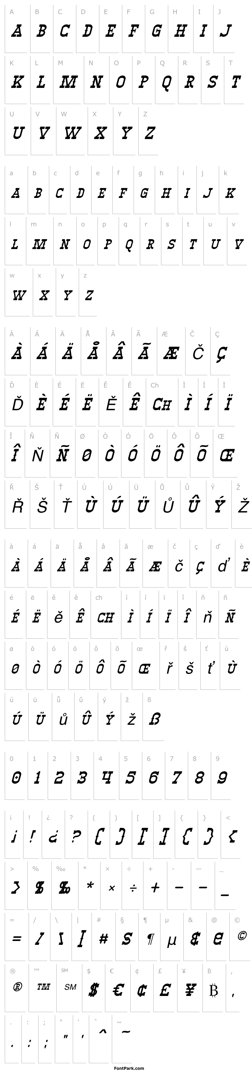 Overview Winslett Italic