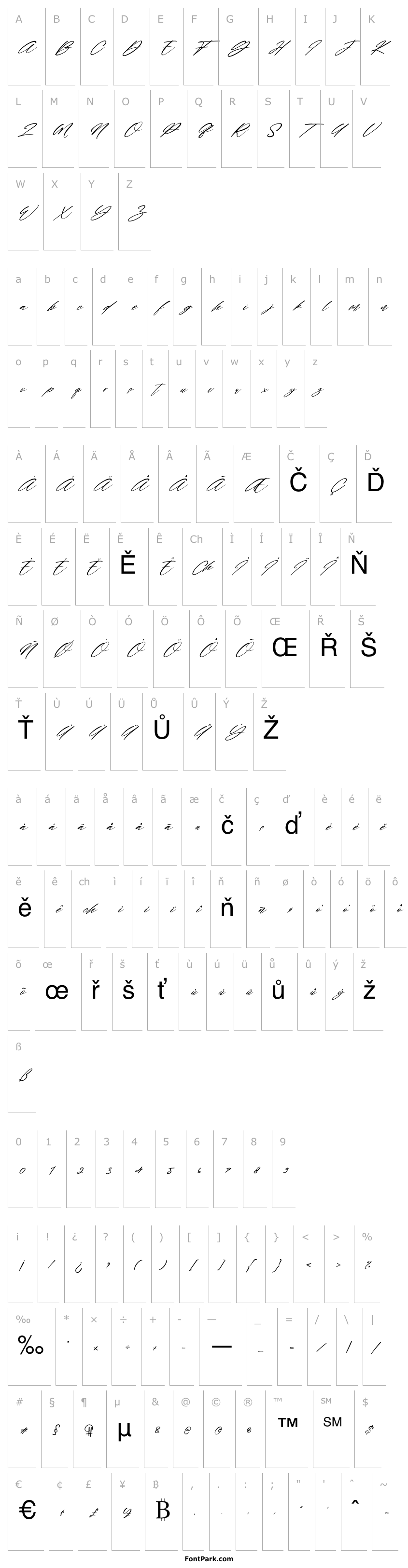 Přehled Wonderfull Italic