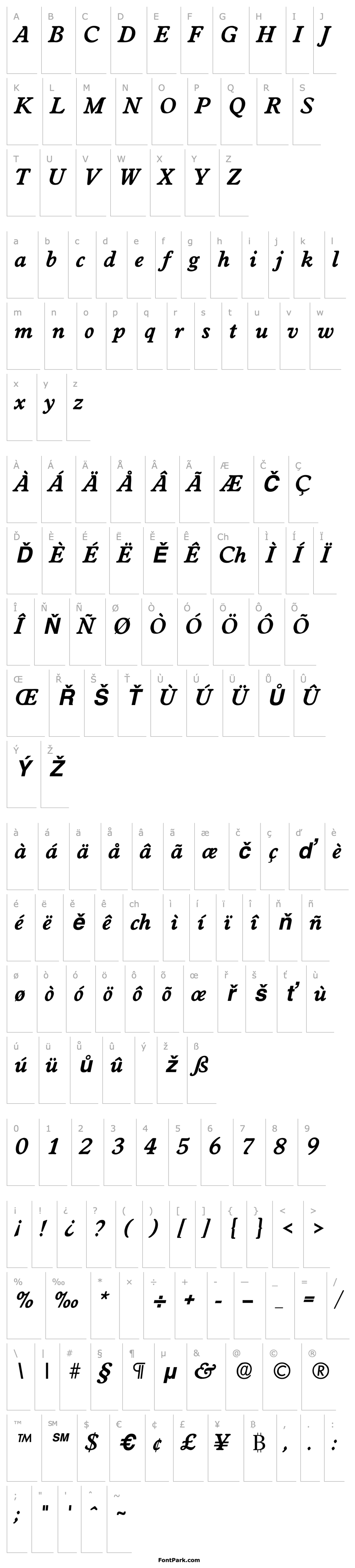 Overview Worcester Bold Italic