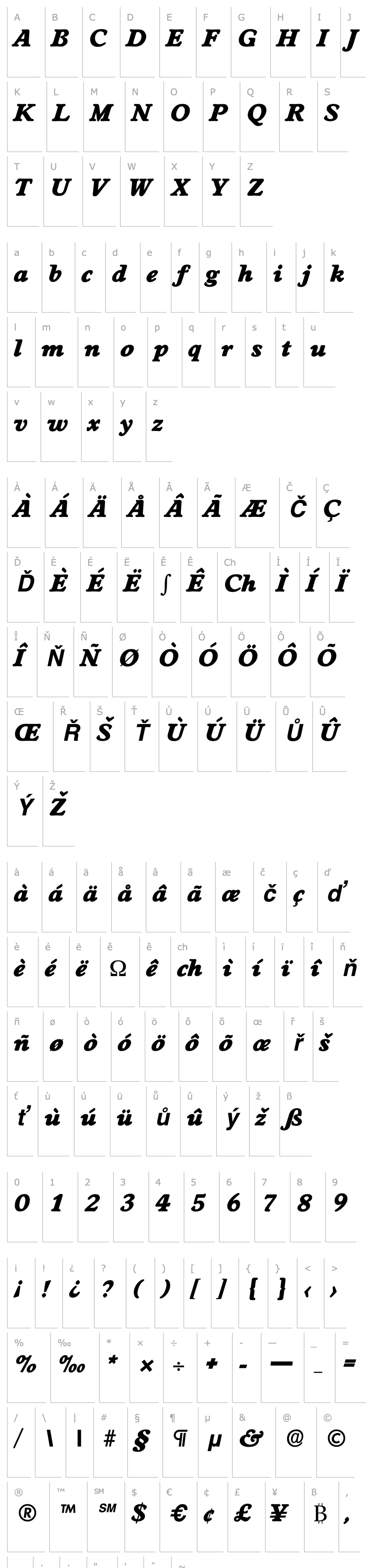 Overview Worcester-Serial-Heavy-RegularItalic