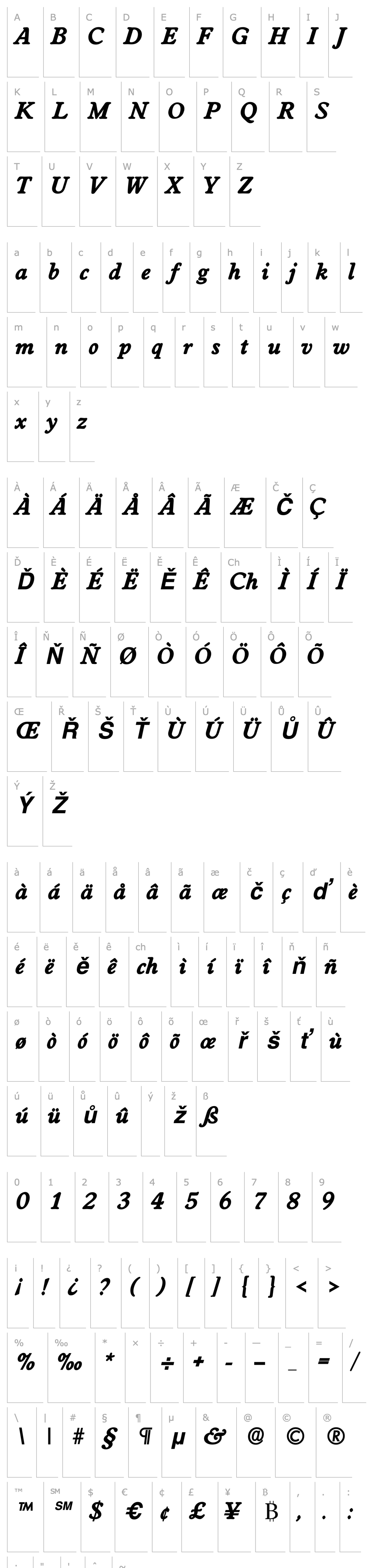 Overview WorcesterLH Bold Italic