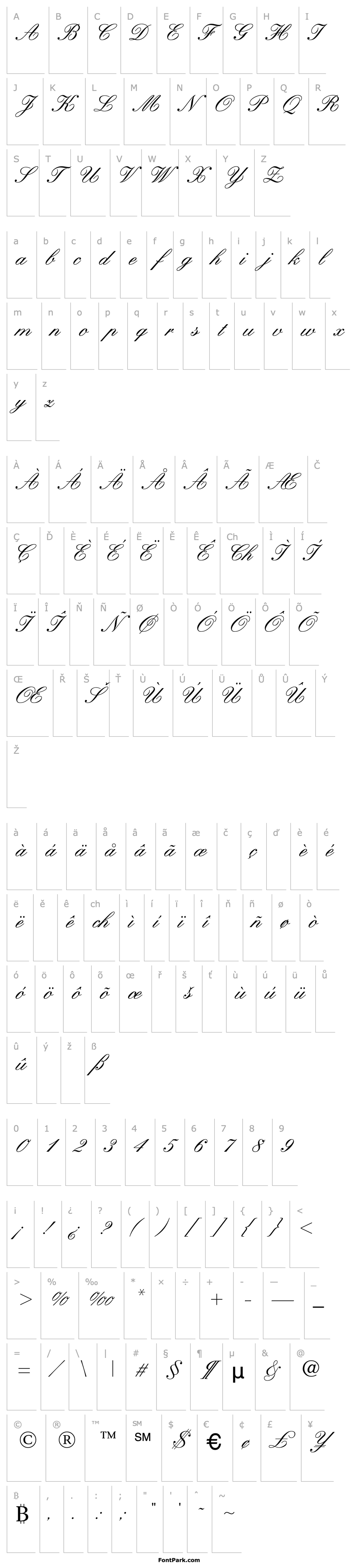 Overview Wynnerock Script