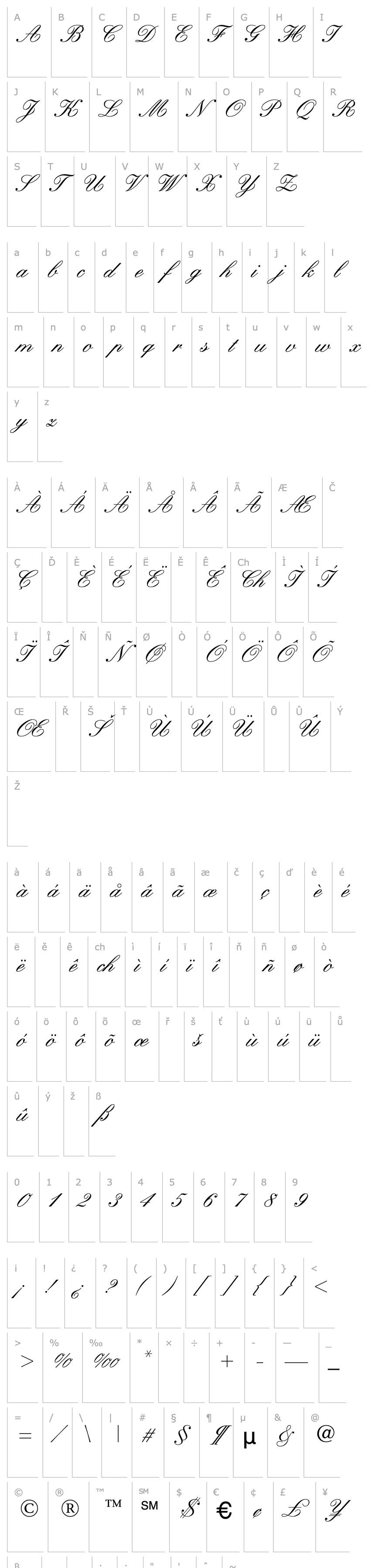 Přehled WynnerockScript-Medium